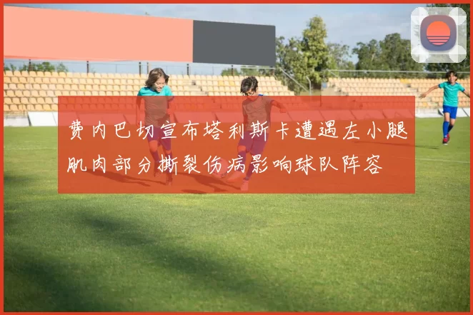 费内巴切宣布塔利斯卡遭遇左小腿肌肉部分撕裂伤病影响球队阵容