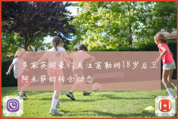 多家英超豪门关注富勒姆18岁后卫阿米萨的转会动态